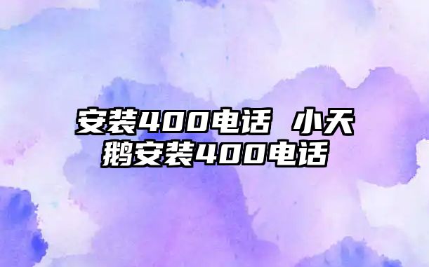 安裝400電話 小天鵝安裝400電話