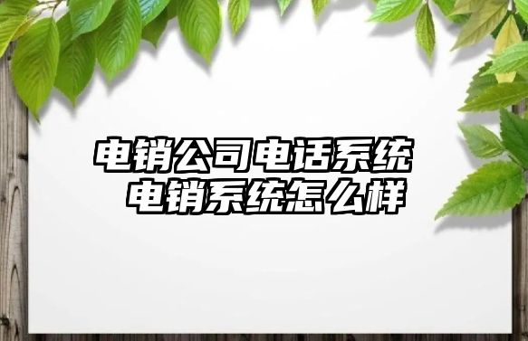 電銷公司電話系統(tǒng) 電銷系統(tǒng)怎么樣