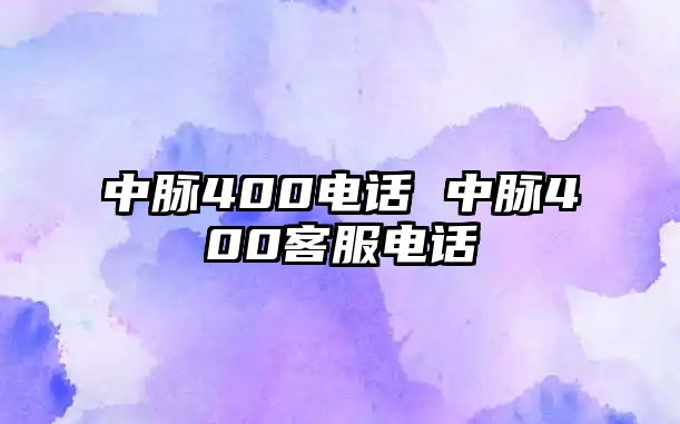 中脈400電話 中脈400客服電話