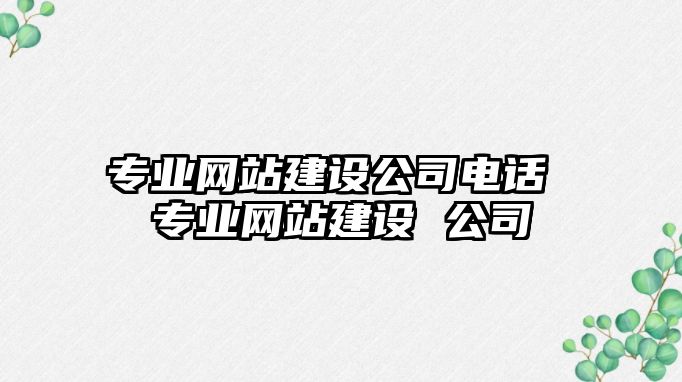 專業(yè)網(wǎng)站建設(shè)公司電話 專業(yè)網(wǎng)站建設(shè) 公司