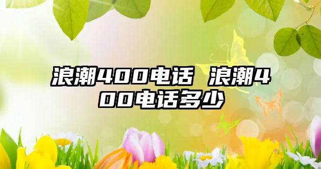 浪潮400電話 浪潮400電話多少