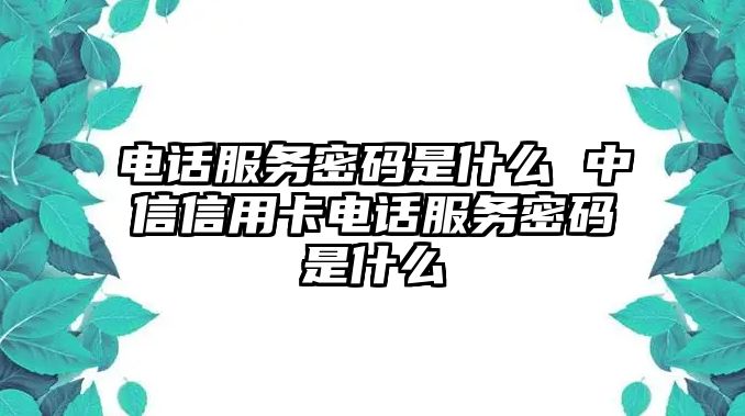 電話服務(wù)密碼是什么 中信信用卡電話服務(wù)密碼是什么