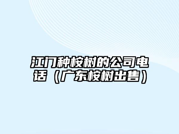 江門種桉樹的公司電話（廣東桉樹出售）