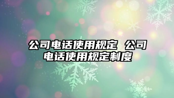 公司電話使用規(guī)定 公司電話使用規(guī)定制度