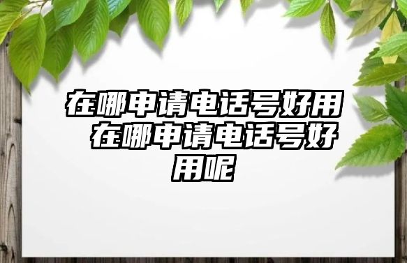 在哪申請(qǐng)電話號(hào)好用 在哪申請(qǐng)電話號(hào)好用呢