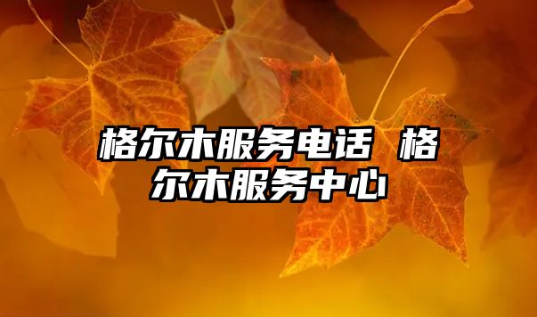 格爾木服務電話 格爾木服務中心