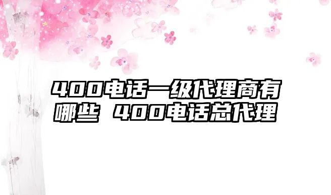 400電話一級代理商有哪些 400電話總代理