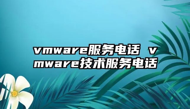 vmware服務(wù)電話 vmware技術(shù)服務(wù)電話