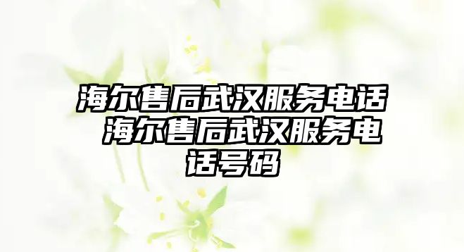 海爾售后武漢服務(wù)電話 海爾售后武漢服務(wù)電話號碼