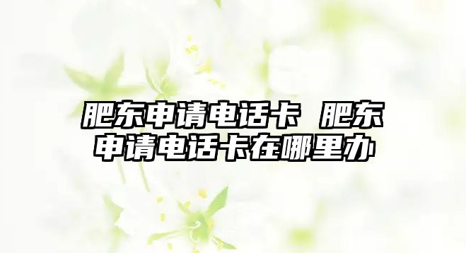 肥東申請電話卡 肥東申請電話卡在哪里辦