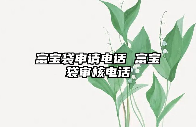 富寶袋申請(qǐng)電話 富寶袋審核電話