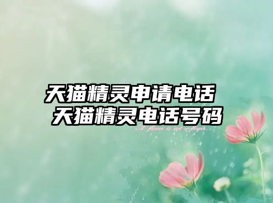 天貓精靈申請電話 天貓精靈電話號碼