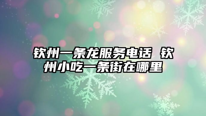 欽州一條龍服務電話 欽州小吃一條街在哪里