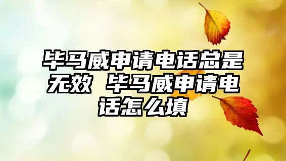 畢馬威申請(qǐng)電話總是無效 畢馬威申請(qǐng)電話怎么填