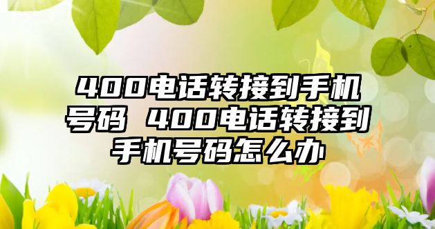 400電話轉(zhuǎn)接到手機(jī)號(hào)碼 400電話轉(zhuǎn)接到手機(jī)號(hào)碼怎么辦