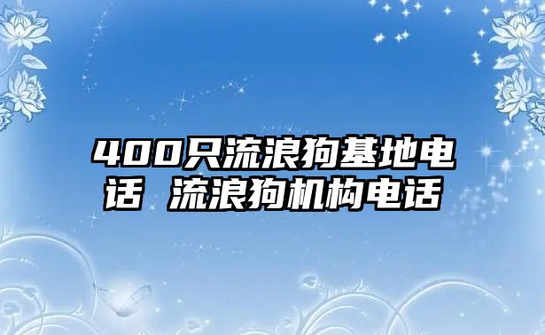 400只流浪狗基地電話 流浪狗機構(gòu)電話