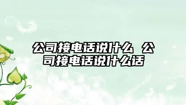 公司接電話說什么 公司接電話說什么話