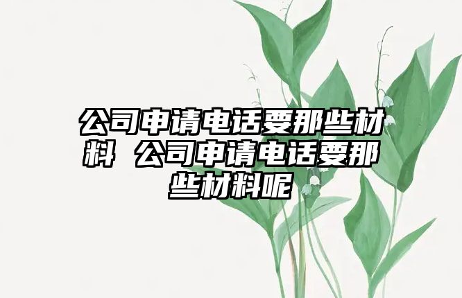 公司申請(qǐng)電話要那些材料 公司申請(qǐng)電話要那些材料呢