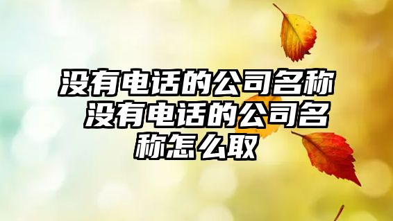 沒有電話的公司名稱 沒有電話的公司名稱怎么取