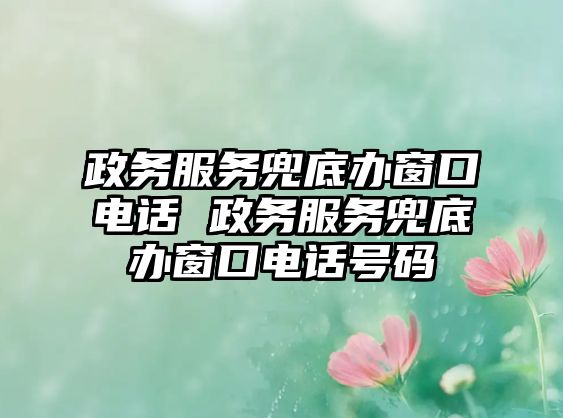 政務(wù)服務(wù)兜底辦窗口電話 政務(wù)服務(wù)兜底辦窗口電話號碼