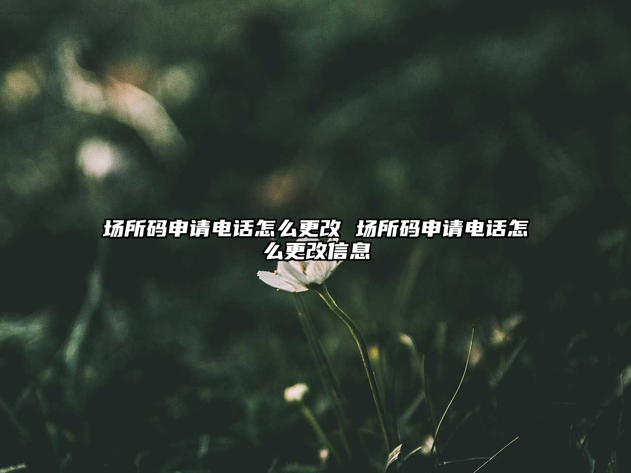 場(chǎng)所碼申請(qǐng)電話怎么更改 場(chǎng)所碼申請(qǐng)電話怎么更改信息