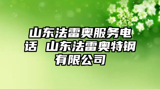 山東法雷奧服務(wù)電話 山東法雷奧特鋼有限公司