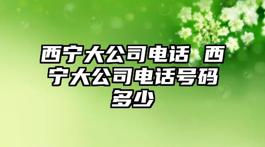 西寧大公司電話 西寧大公司電話號碼多少