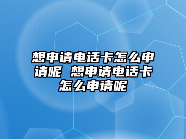 想申請電話卡怎么申請呢 想申請電話卡怎么申請呢