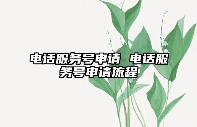 電話服務(wù)號申請 電話服務(wù)號申請流程