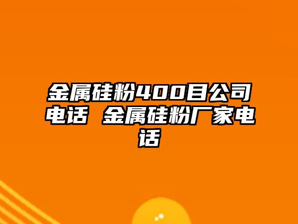 金屬硅粉400目公司電話 金屬硅粉廠家電話