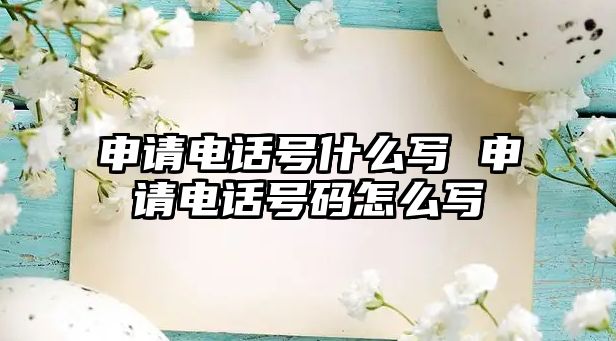 申請電話號什么寫 申請電話號碼怎么寫