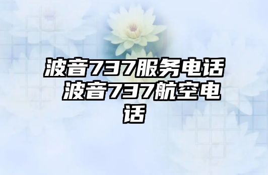 波音737服務(wù)電話 波音737航空電話