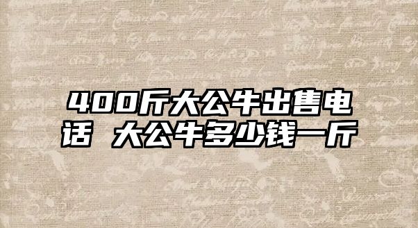 400斤大公牛出售電話 大公牛多少錢一斤