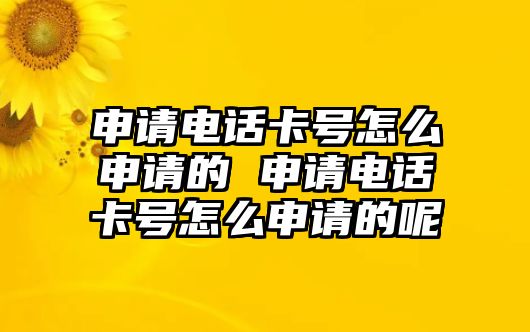 申請(qǐng)電話卡號(hào)怎么申請(qǐng)的 申請(qǐng)電話卡號(hào)怎么申請(qǐng)的呢