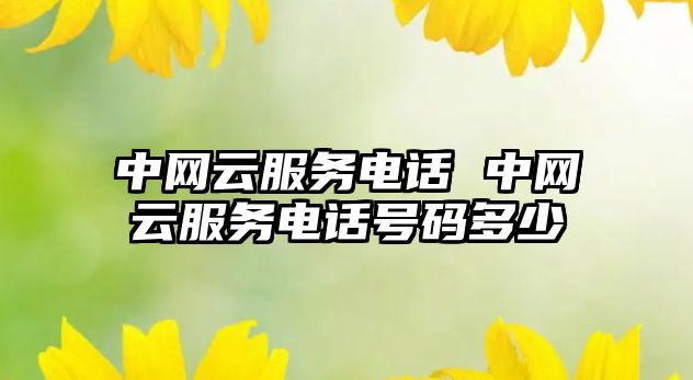 中網(wǎng)云服務電話 中網(wǎng)云服務電話號碼多少