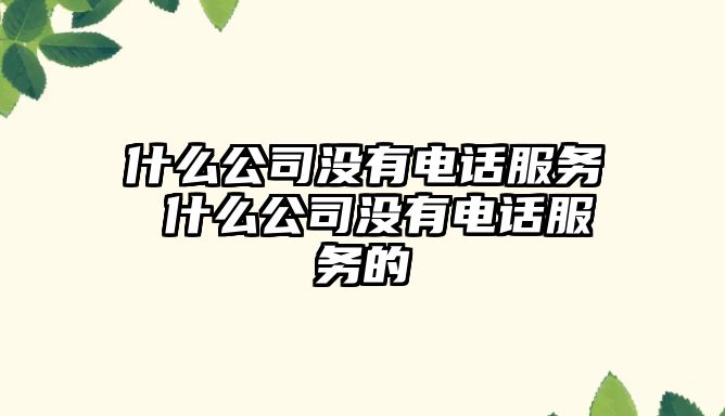 什么公司沒有電話服務 什么公司沒有電話服務的