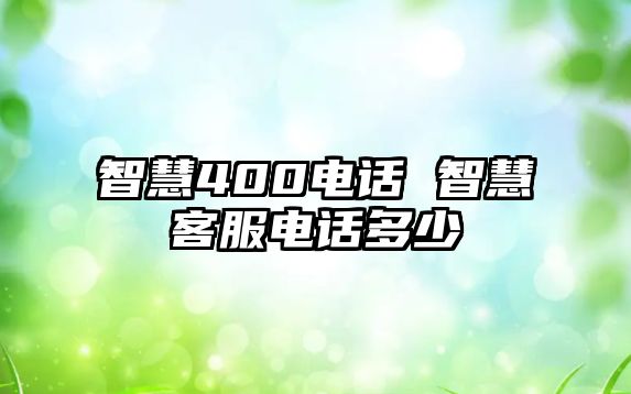 智慧400電話 智慧客服電話多少