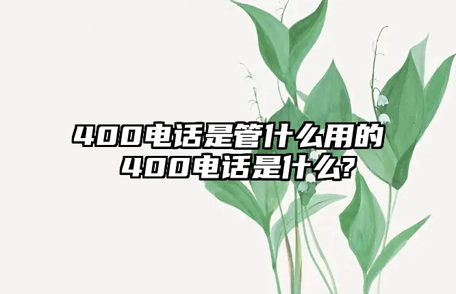 400電話是管什么用的 400電話是什么?