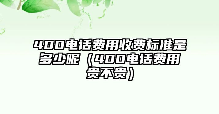 400電話費(fèi)用收費(fèi)標(biāo)準(zhǔn)是多少呢（400電話費(fèi)用貴不貴）