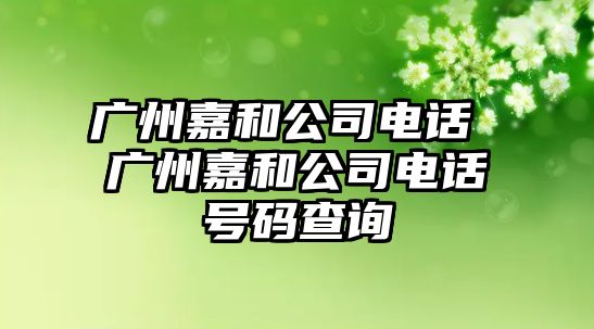 廣州嘉和公司電話 廣州嘉和公司電話號(hào)碼查詢