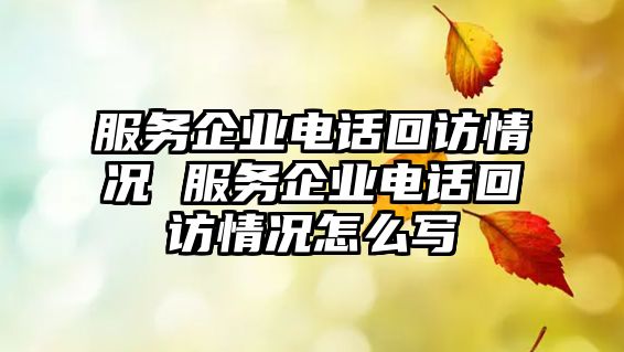 服務(wù)企業(yè)電話回訪情況 服務(wù)企業(yè)電話回訪情況怎么寫