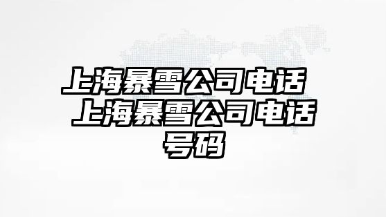 上海暴雪公司電話 上海暴雪公司電話號(hào)碼