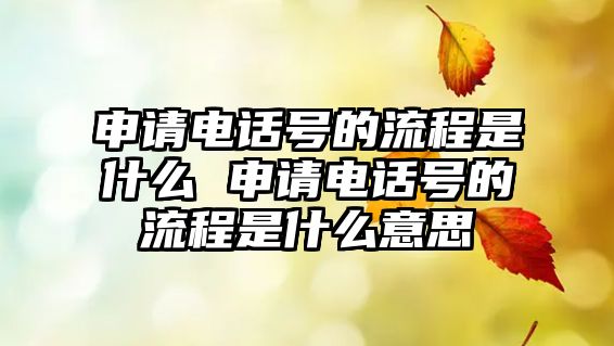 申請(qǐng)電話號(hào)的流程是什么 申請(qǐng)電話號(hào)的流程是什么意思