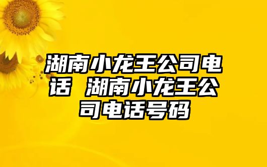 湖南小龍王公司電話 湖南小龍王公司電話號碼