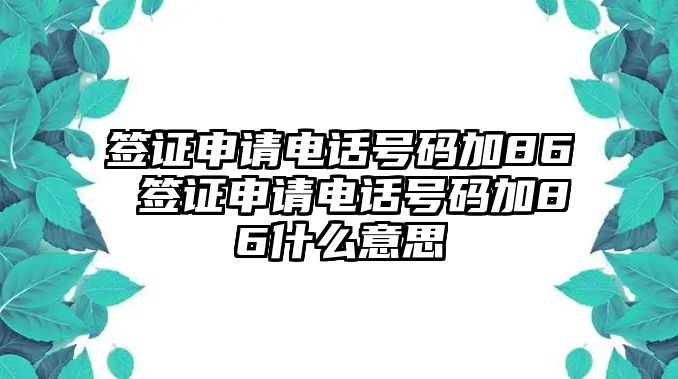 簽證申請電話號碼加86 簽證申請電話號碼加86什么意思