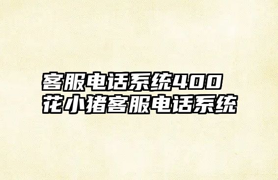 客服電話系統(tǒng)400 花小豬客服電話系統(tǒng)