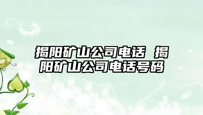 揭陽礦山公司電話 揭陽礦山公司電話號碼