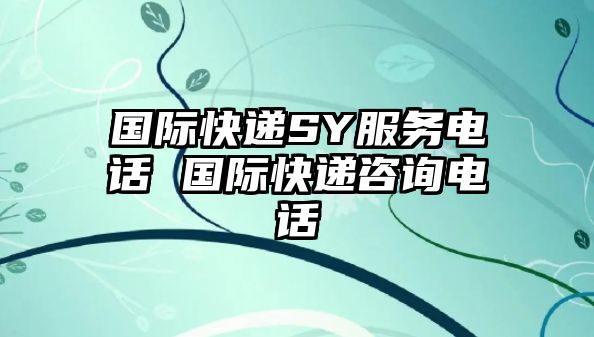 國際快遞SY服務(wù)電話 國際快遞咨詢電話