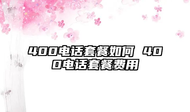 400電話套餐如何 400電話套餐費用