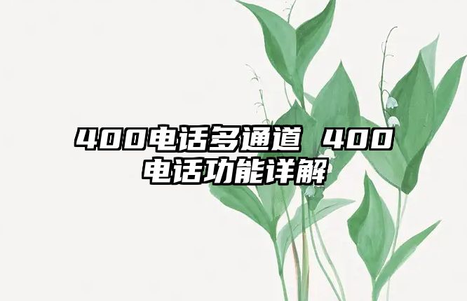 400電話多通道 400電話功能詳解